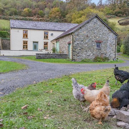 Pwll Farmhouse Llanllawdog Exterior photo