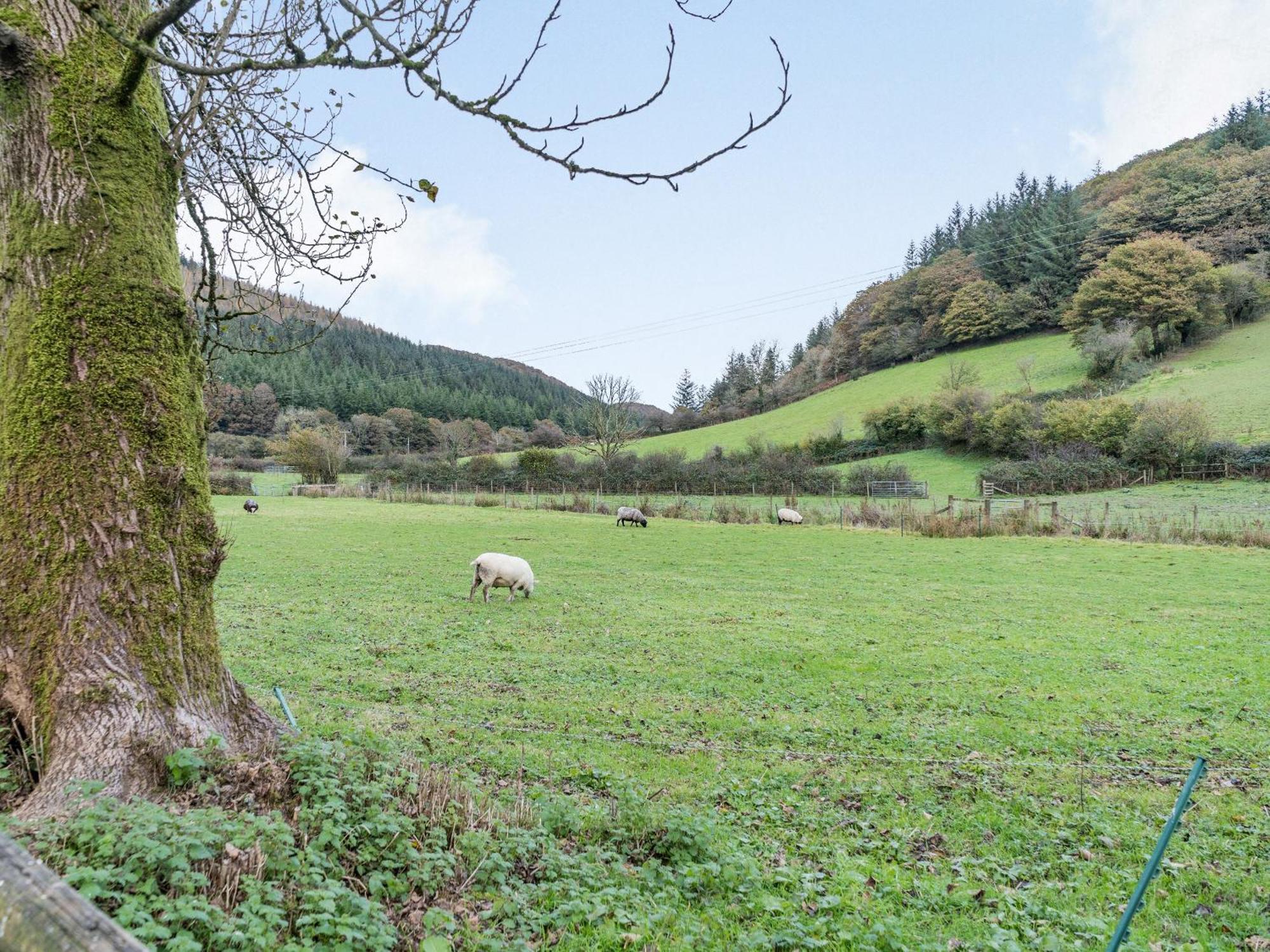 Pwll Farmhouse Llanllawdog Exterior photo